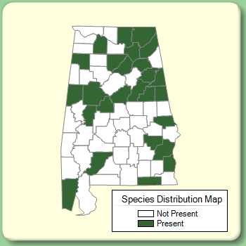 Species Distribution Map