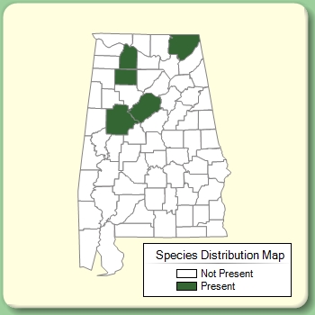 Species Distribution Map