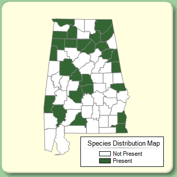 Species Distribution Map