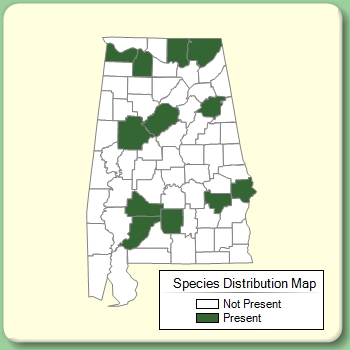 Species Distribution Map