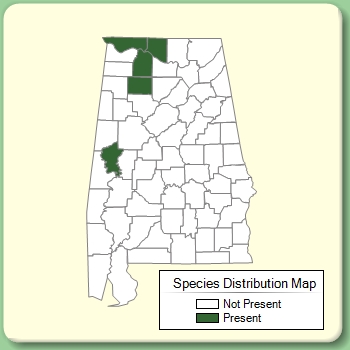 Species Distribution Map