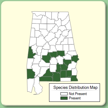 Species Distribution Map