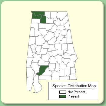 Species Distribution Map