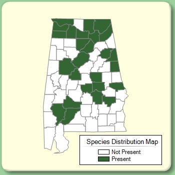 Species Distribution Map