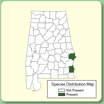 Species Distribution Map