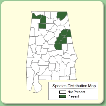 Species Distribution Map