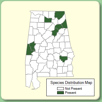 Species Distribution Map