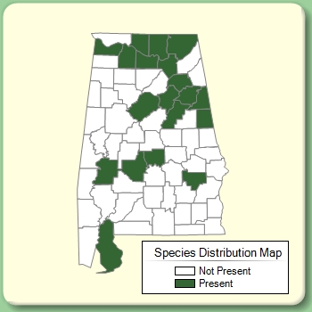 Species Distribution Map