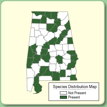 Species Distribution Map