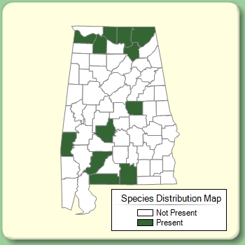 Species Distribution Map