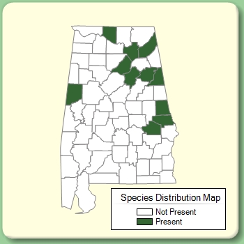 Species Distribution Map