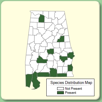 Species Distribution Map