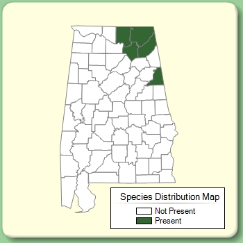 Species Distribution Map