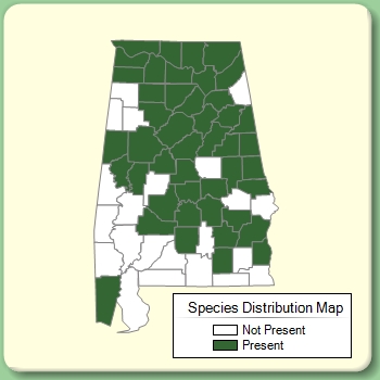 Species Distribution Map