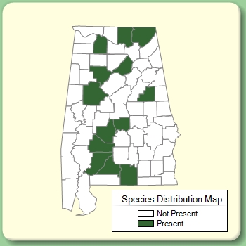 Species Distribution Map