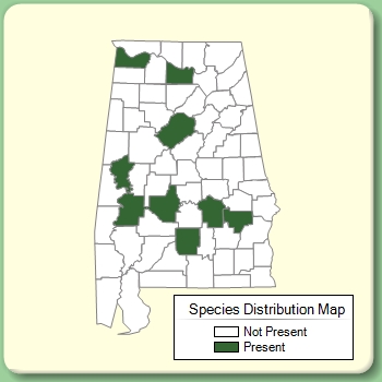 Species Distribution Map