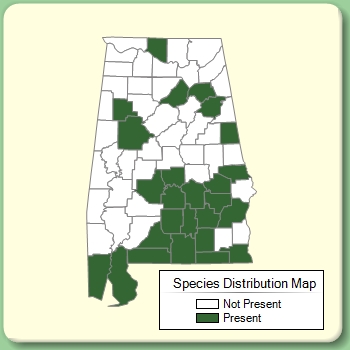 Species Distribution Map