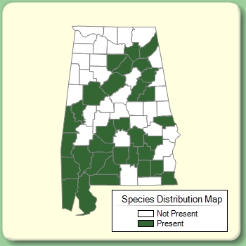 Species Distribution Map