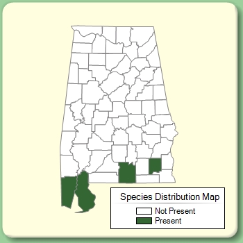 Species Distribution Map