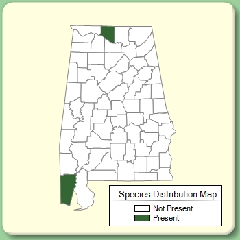 Species Distribution Map