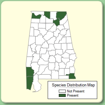 Species Distribution Map