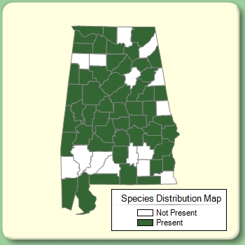 Species Distribution Map