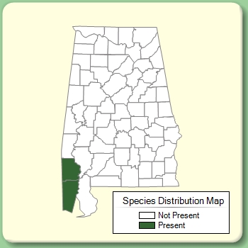 Species Distribution Map