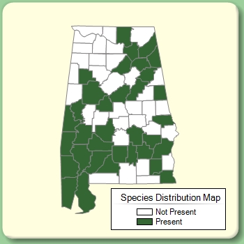 Species Distribution Map