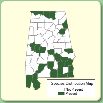 Species Distribution Map