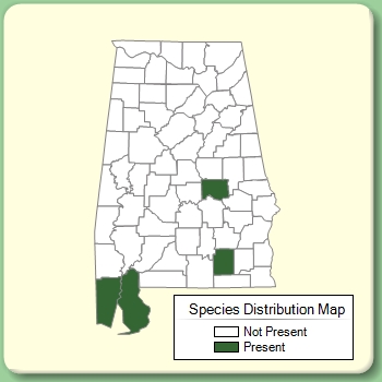 Species Distribution Map