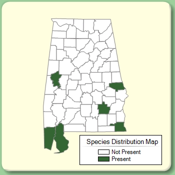 Species Distribution Map