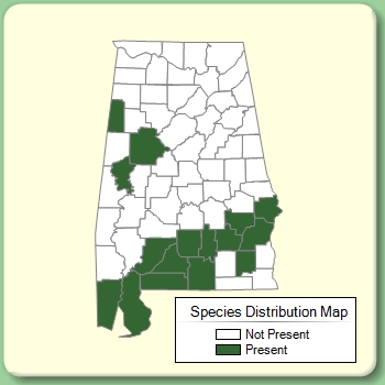 Species Distribution Map