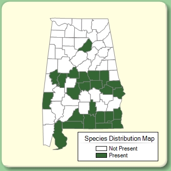 Species Distribution Map