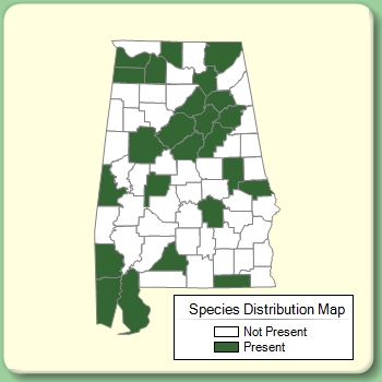 Species Distribution Map