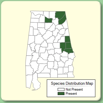 Species Distribution Map