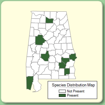 Species Distribution Map