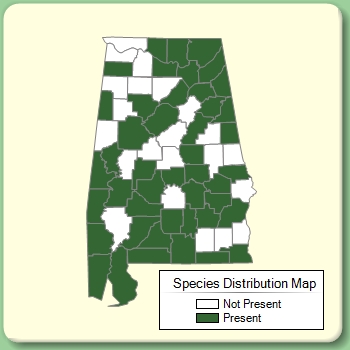 Species Distribution Map