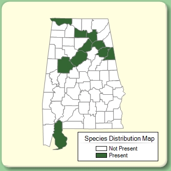 Species Distribution Map