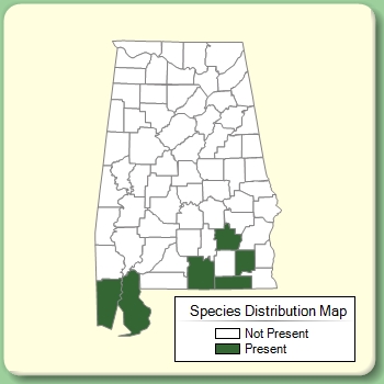 Species Distribution Map