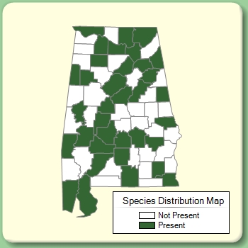 Species Distribution Map