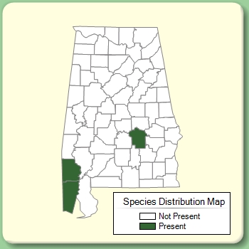 Species Distribution Map