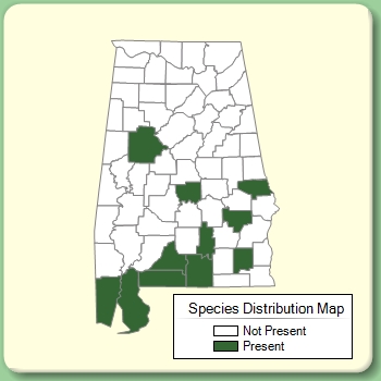 Species Distribution Map