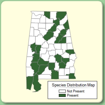 Species Distribution Map