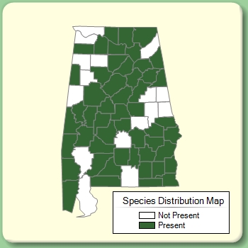 Species Distribution Map