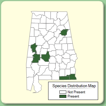 Species Distribution Map