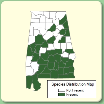 Species Distribution Map