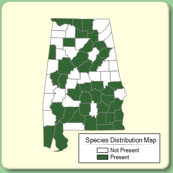 Species Distribution Map