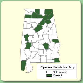 Species Distribution Map