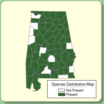 Species Distribution Map