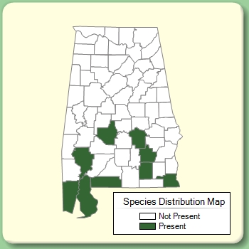 Species Distribution Map